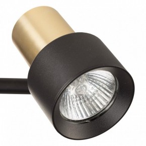 Бра Citilux SAT CL505621 в Миассе - miass.mebel24.online | фото 8
