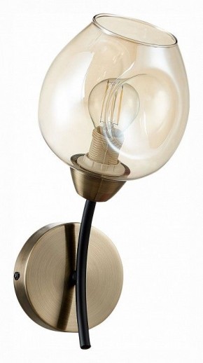 Бра EVOLUCE Besano SLE205301-01 в Миассе - miass.mebel24.online | фото