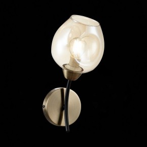 Бра EVOLUCE Besano SLE205301-01 в Миассе - miass.mebel24.online | фото 3