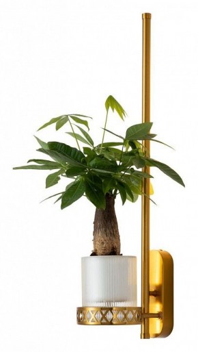 Бра Favourite Greenery 4050-1W в Миассе - miass.mebel24.online | фото 3