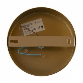 Бра Freya Zelda FR5124WL-01BS в Миассе - miass.mebel24.online | фото 6