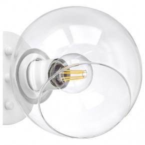 Бра Lightstar Beta 785616 в Миассе - miass.mebel24.online | фото 5