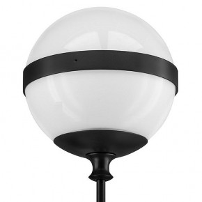 Бра Lightstar Globo 813617 в Миассе - miass.mebel24.online | фото 3