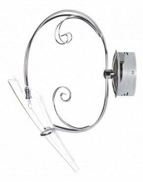 Бра Lightstar Scarabeo 755624 в Миассе - miass.mebel24.online | фото 2
