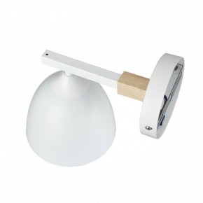 Бра Lumion Colange 8095/1W в Миассе - miass.mebel24.online | фото 3