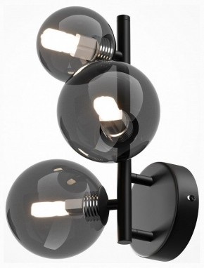 Бра Maytoni Dallas MOD545WL-03B в Миассе - miass.mebel24.online | фото 2