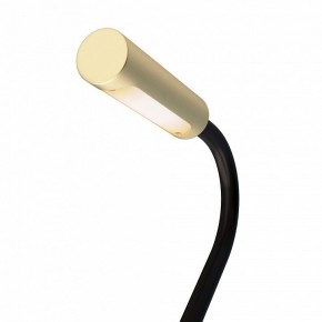 Бра Maytoni Stem C035WL-L3MG3K в Миассе - miass.mebel24.online | фото 6