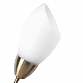 Бра MW-Light Нежность 7 356023001 в Миассе - miass.mebel24.online | фото 2