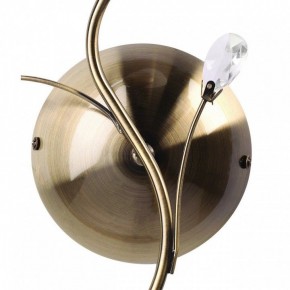 Бра MW-Light Нежность 7 356023001 в Миассе - miass.mebel24.online | фото 3