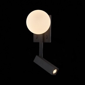 Бра с подсветкой ST-Luce Botelli SL1581.401.02 в Миассе - miass.mebel24.online | фото