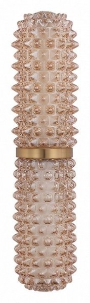 Бра ST-Luce SAGUARO SL6144.301.01 в Миассе - miass.mebel24.online | фото 4