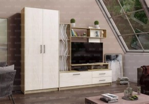 ДАРЬЯ Гостиная (Крафт серый/Крафт белый) в Миассе - miass.mebel24.online | фото