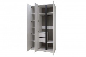 ДЕЛИ 3 Шкаф 3-х створчатый в Миассе - miass.mebel24.online | фото 6