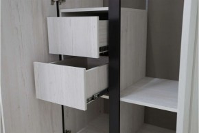 ДЕЛИ 3 Шкаф 3-х створчатый в Миассе - miass.mebel24.online | фото 7