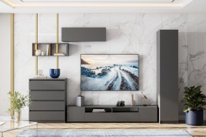 ДЕНВЕР Тумба для ТВА (Графит серый) в Миассе - miass.mebel24.online | фото 4