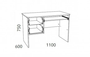 Детская Фанк Стол для компьютера НМ 009.19-05 М2 в Миассе - miass.mebel24.online | фото 3