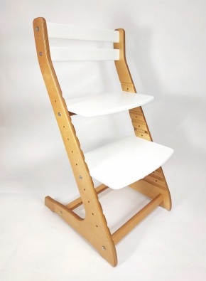 Детский растущий стул ROLTI UP (Лофт-2) в Миассе - miass.mebel24.online | фото