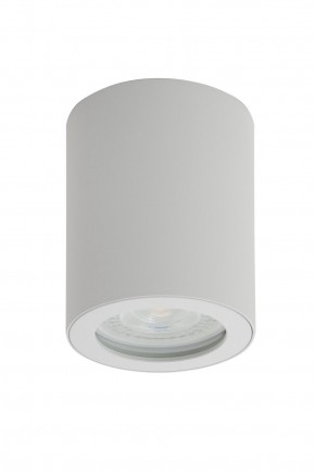 DK3007-WH Накладной светильник влагозащ., IP 44, 15 Вт, GU10, белый, алюминий в Миассе - miass.mebel24.online | фото 1
