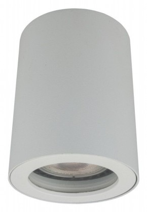 DK3007-WH Накладной светильник влагозащ., IP 44, 15 Вт, GU10, белый, алюминий в Миассе - miass.mebel24.online | фото 2