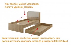 Дуглас подростковая (модульная) в Миассе - miass.mebel24.online | фото 5