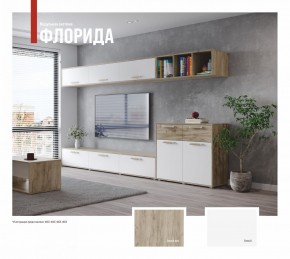 ФЛОРИДА Гостиная (модульная) дуб серый/белый в Миассе - miass.mebel24.online | фото