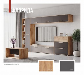 ФЛОРИДА Гостиная (модульная) дуб золотой/графит в Миассе - miass.mebel24.online | фото
