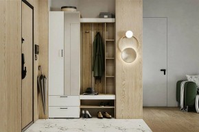 Гарнитур для прихожей Торонто в Миассе - miass.mebel24.online | фото 5