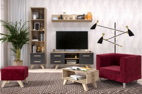 Гостиная Вега Скандинавия (комплект 5) в Миассе - miass.mebel24.online | фото