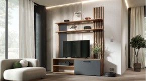 КАРОЛИНА Гостиная в Миассе - miass.mebel24.online | фото