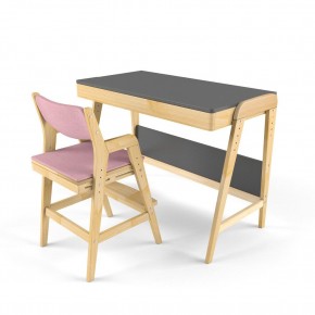 Комплект растущий стол и стул с чехлом 38 попугаев «Вуди» (Серый, Береза, Розовый) в Миассе - miass.mebel24.online | фото