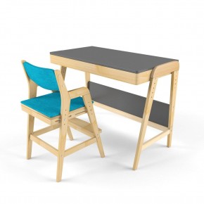 Комплект растущий стол и стул с чехлом 38 попугаев «Вуди» (Серый, Без покрытия, Лазурь) в Миассе - miass.mebel24.online | фото