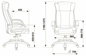 Кресло для руководителя Бюрократ CH-879N в Миассе - miass.mebel24.online | фото