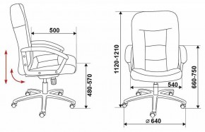 Кресло компьютерное Бюрократ T-9908AXSN-AB в Миассе - miass.mebel24.online | фото 6