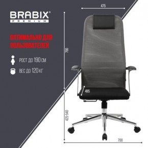 Кресло офисное BRABIX PREMIUM "Ultimate EX-801" хром, плотная двойная сетка Х2, черное/серое, 532918 в Миассе - miass.mebel24.online | фото 5