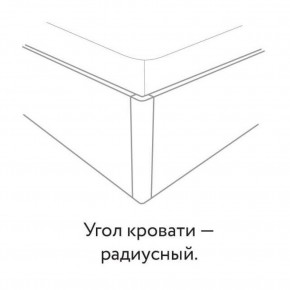 Кровать "Сандра" БЕЗ основания 1600х2000 в Миассе - miass.mebel24.online | фото 3