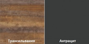 Кухонный гарнитур угловой Трансильвания 2600х1600 мм (Стол. 26 мм) в Миассе - miass.mebel24.online | фото 3