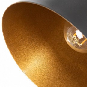 Люстра на штанге Arte Lamp Thomas A7032PL-6BK в Миассе - miass.mebel24.online | фото 7