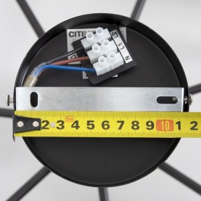 Люстра на штанге Citilux Стивен CL141271 в Миассе - miass.mebel24.online | фото 13