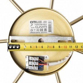 Люстра на штанге Citilux Tonga CL212173 в Миассе - miass.mebel24.online | фото 9