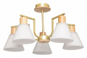 Люстра на штанге De City Дэла 45 635016505 в Миассе - miass.mebel24.online | фото