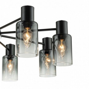 Люстра на штанге Escada Diversity 2120/8P Black в Миассе - miass.mebel24.online | фото 5