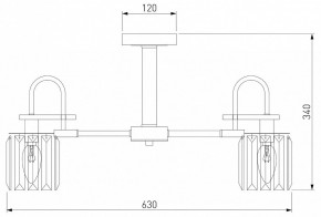 Люстра на штанге Eurosvet Tenia 70090/5 графит в Миассе - miass.mebel24.online | фото 4