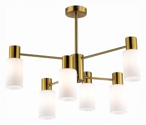 Люстра на штанге EVOLUCE Gessi SLE1139-302-06 в Миассе - miass.mebel24.online | фото 2