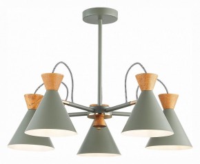 Люстра на штанге EVOLUCE Modica SLE125112-05 в Миассе - miass.mebel24.online | фото 2