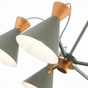 Люстра на штанге EVOLUCE Modica SLE125112-05 в Миассе - miass.mebel24.online | фото 3