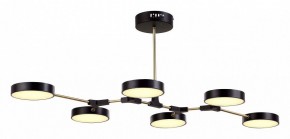 Люстра на штанге EVOLUCE Monta SLE6004-402-06 в Миассе - miass.mebel24.online | фото 2