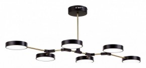 Люстра на штанге EVOLUCE Monta SLE6004-402-06 в Миассе - miass.mebel24.online | фото 3