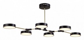 Люстра на штанге EVOLUCE Monta SLE6004-402-06 в Миассе - miass.mebel24.online | фото 4