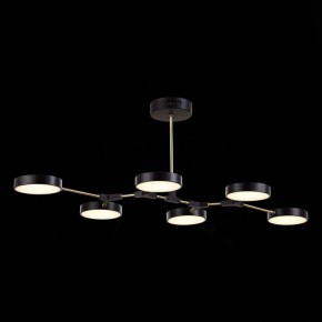 Люстра на штанге EVOLUCE Monta SLE6004-402-06 в Миассе - miass.mebel24.online | фото 5