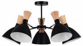 Люстра на штанге EVOLUCE VISTA SLE1256-402-05 в Миассе - miass.mebel24.online | фото